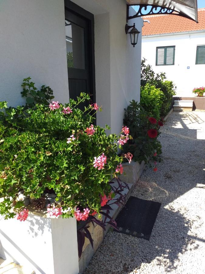 ביוגראד נה מורו Apartments Jelicic מראה חיצוני תמונה