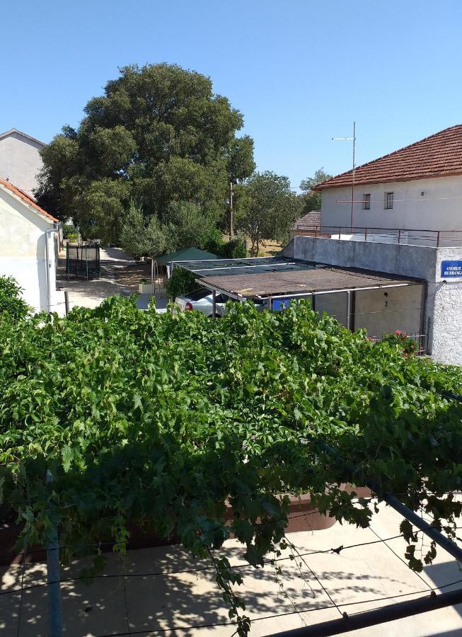 ביוגראד נה מורו Apartments Jelicic מראה חיצוני תמונה