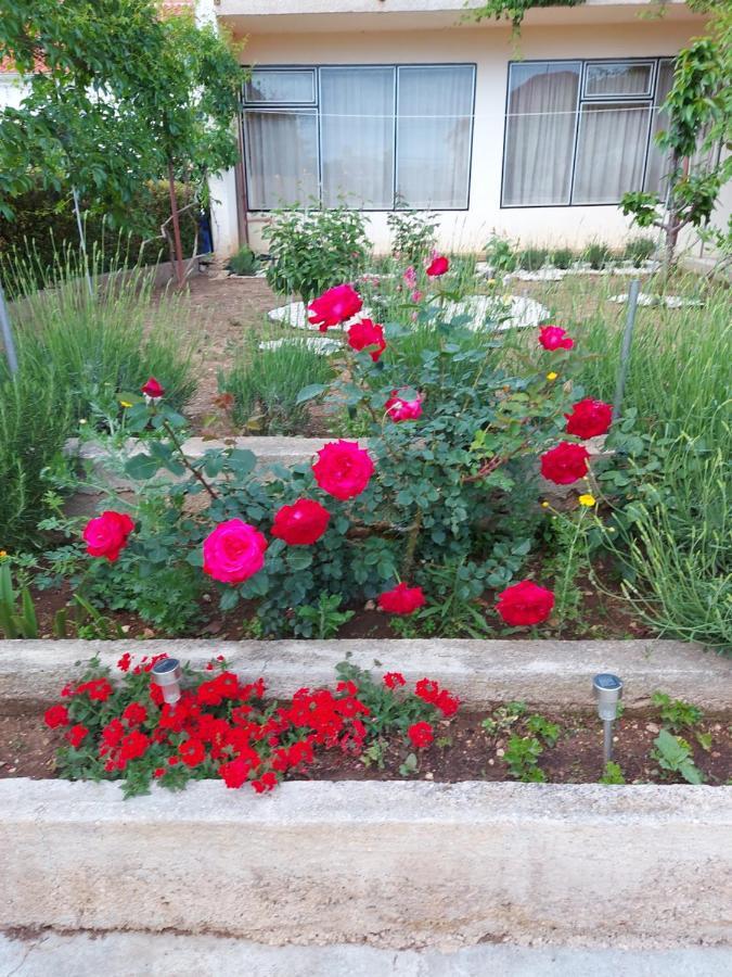 ביוגראד נה מורו Apartments Jelicic מראה חיצוני תמונה